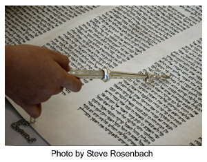 Reading Torah by Steve Rosenbach