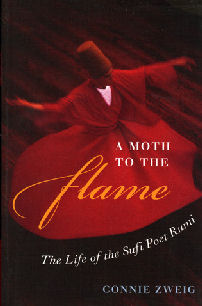 A Moth to the Flame cover art