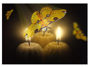 moths flying over candle flames