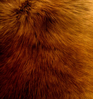 reindeer fur