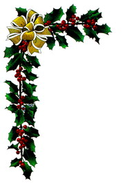 holly border