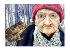 Old Woman with Toad by Judy Somerville