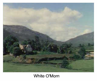White O' Morn