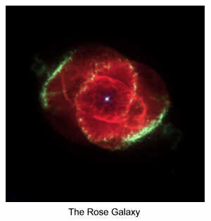 The Rose Galaxy