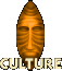 culture