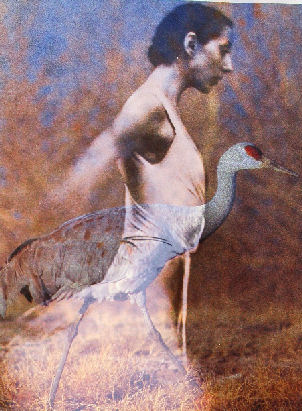 Crane Dancer